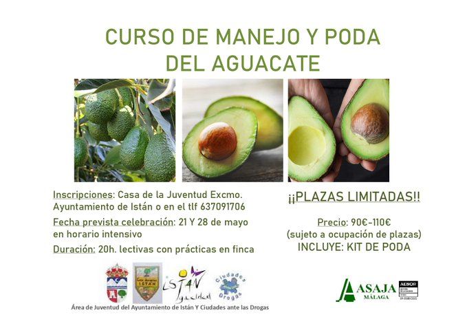  CURSO DE MANEJO Y PODA DE AGUACATE (Fechas: 21 y 28 de mayo de 2022) 